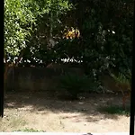 Mrduljas *